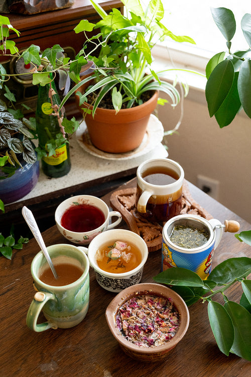 Elyssian Defiance | A Spicy, Grounding Herbal Tea Blend